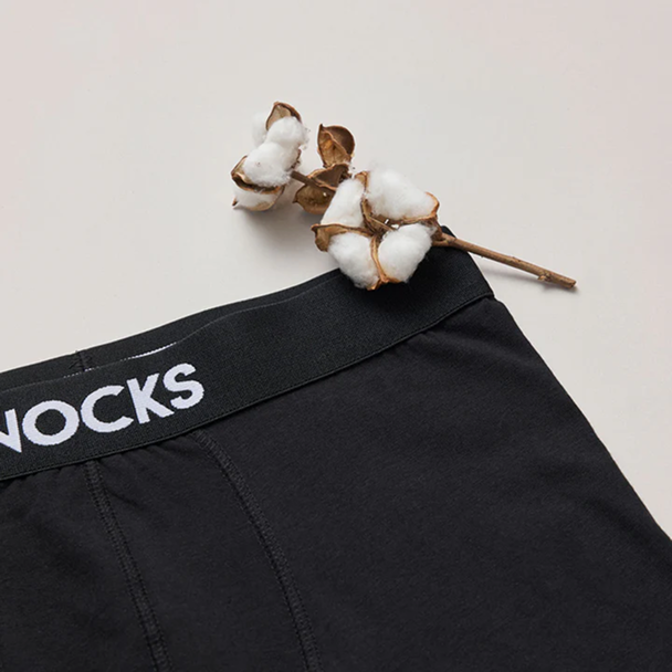Black boxer shorts with a cotton branch placed on them.